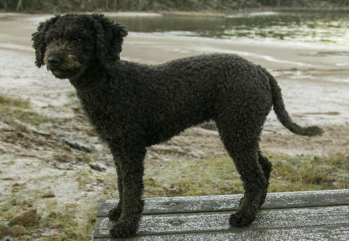 Bonnie_Ursand_700_IMG_8176.jpg Bonnie_Ursand_700_IMG_8176.jpg