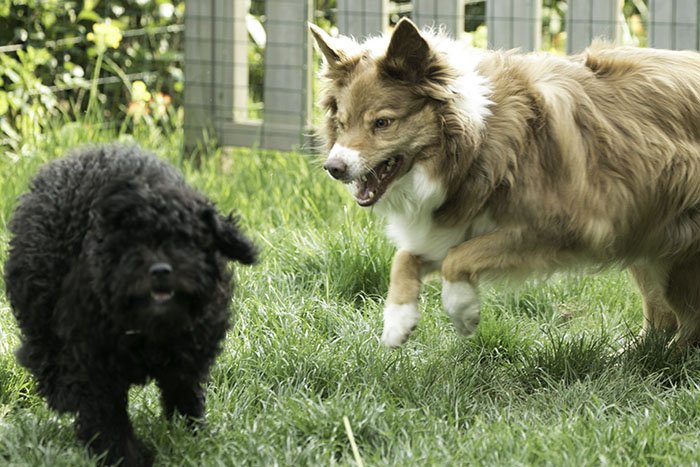 Bonnie_jagas_700_IMG_8151.jpg Bonnie_jagas_700_IMG_8151.jpg