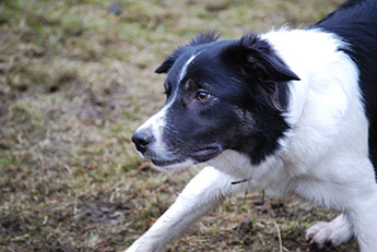 DSC_0077_72.jpg DSC_0077_72.jpg