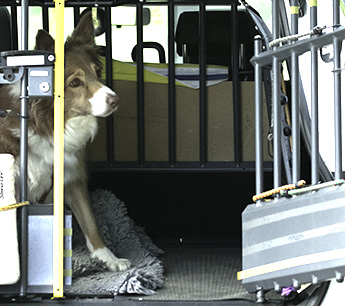 Hundbur_345_IMG_9324.jpg Hundbur_345_IMG_9324.jpg