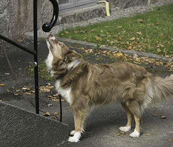 Mocca_nosar_345_IMG_2655.jpg Mocca_nosar_345_IMG_2655.jpg