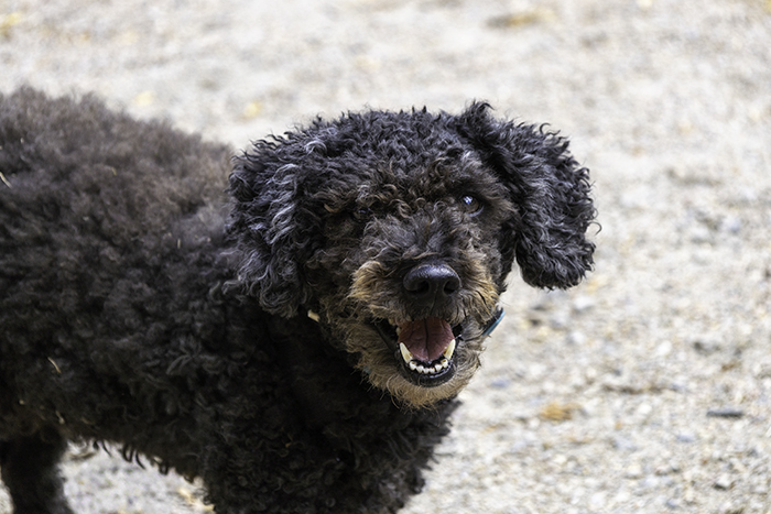 Bonnie_700_4C1A0377-Redigera.jpg